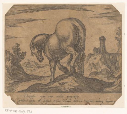 Horse descending a small hill, seen from behind