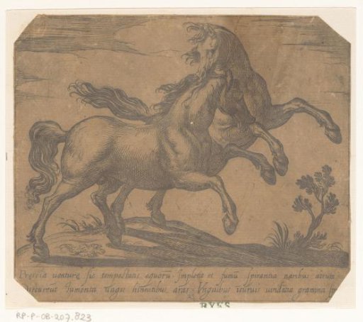 Two fighting horses running to the right