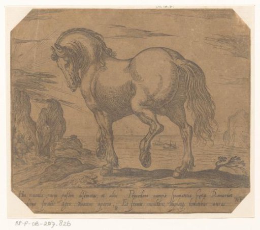 Standing horse turned to the left, before a seascape
