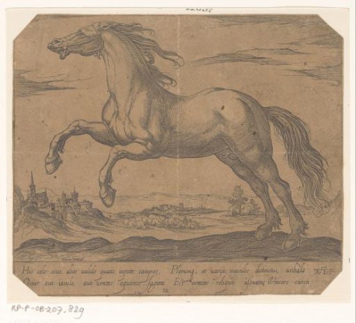 A horse galloping to the left