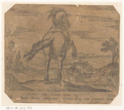 Rearing horse seen from behind