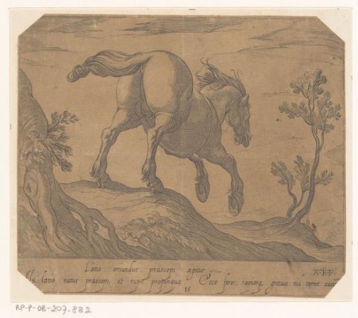 A horse galloping down a hill, seen from behind