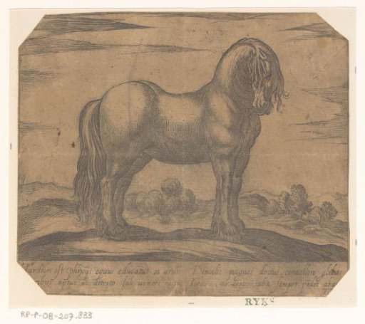 Standing horse turned to the right