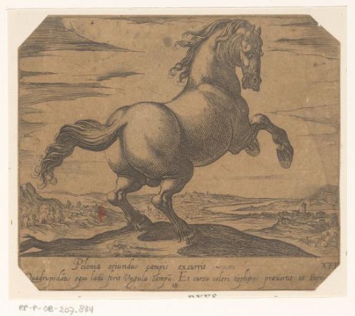 Rearing horse turned to the right