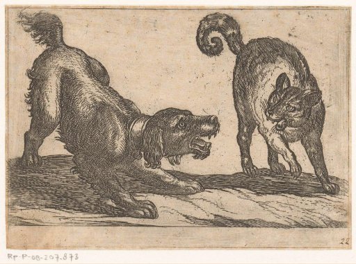 A Dog Fighting with a Cat