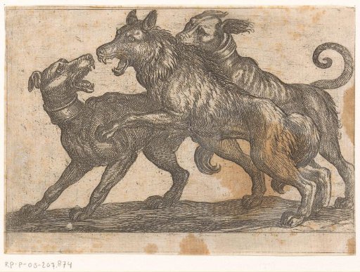 Two Dogs Fighting a Wolf