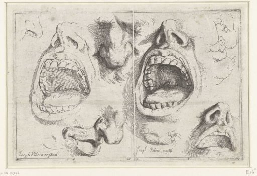 Studies of Nose and Mouth