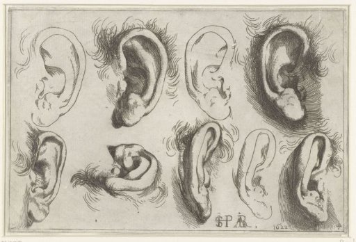 Studies of Ears