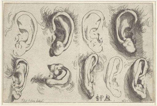 Studies of Ears