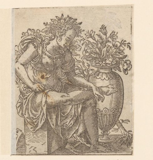 Flora