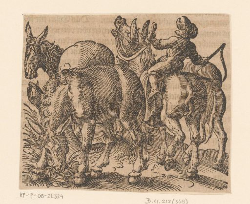 Peasant with four donkeys