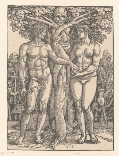 The Fall of Man