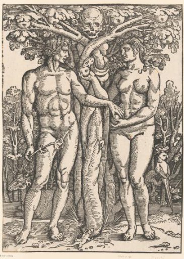 The Fall of Man