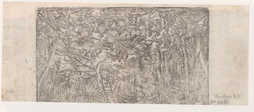 Battle in a Forest