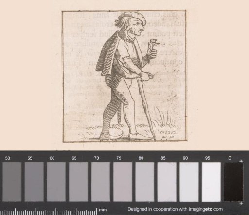Old man with a flower on a courtship path