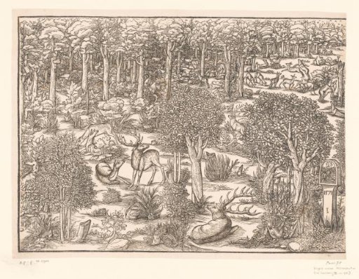 Stag Hunt