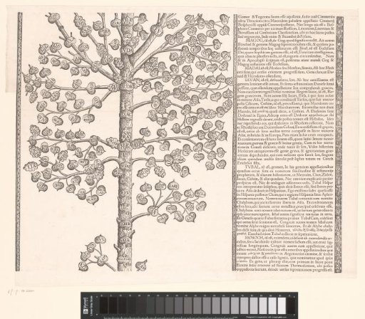 Genealogy of Christ