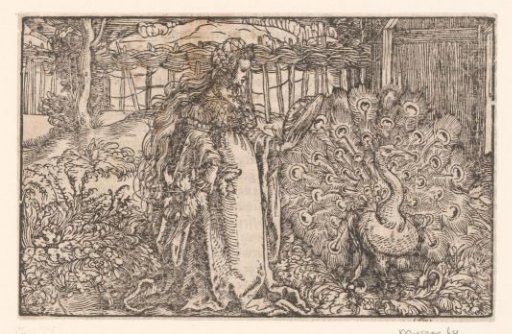 Woman Looking at Herself in the Mirror, Next to Her a Peacock