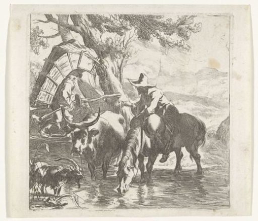 Boy on a wooden bridge