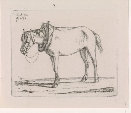 Draft horse