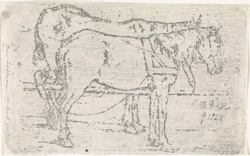 Team of horses