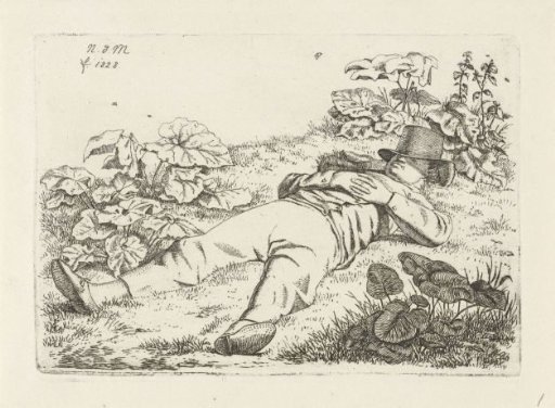 Reclining man in the grass