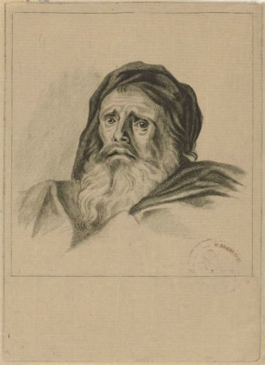 Head of a man with a beard