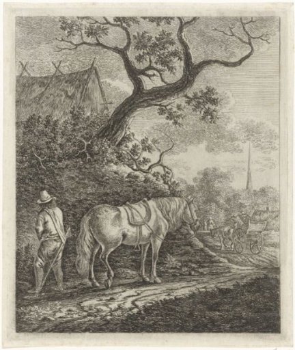 Horse on a country road with a man watering