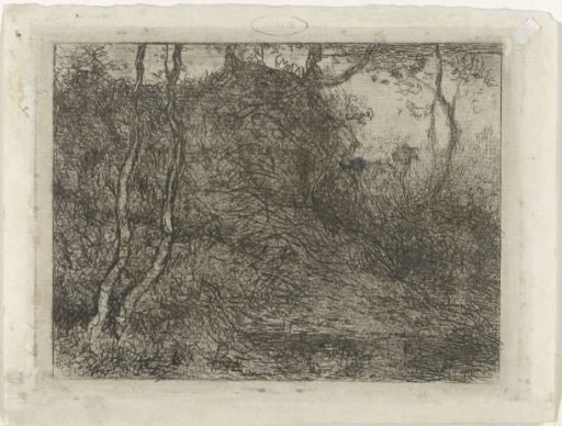 Woodland with a goat
