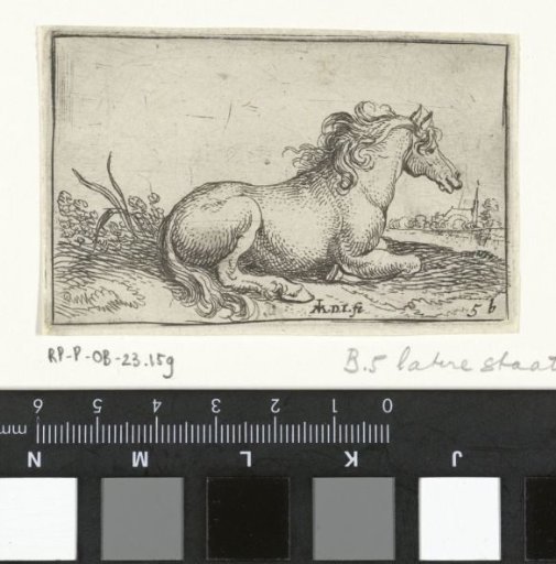 Lying horse
