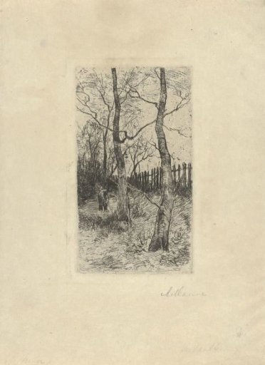 Woodcutter