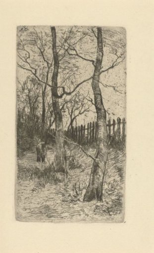 Woodcutter