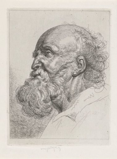 Portrait of an old man with a beard