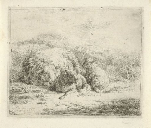 Lying sheep with two lambs