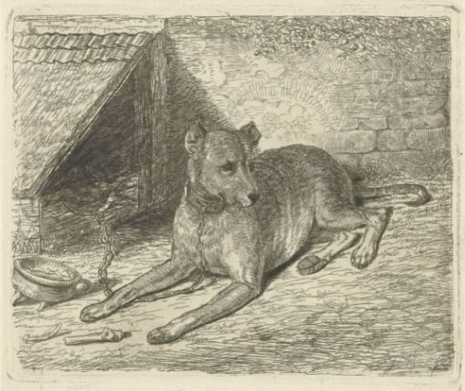 Dog on a chain by a doghouse