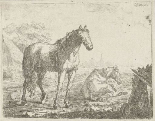 Two horses