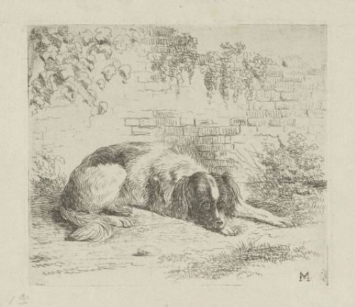 Lying Dog in Front of a Low Wall