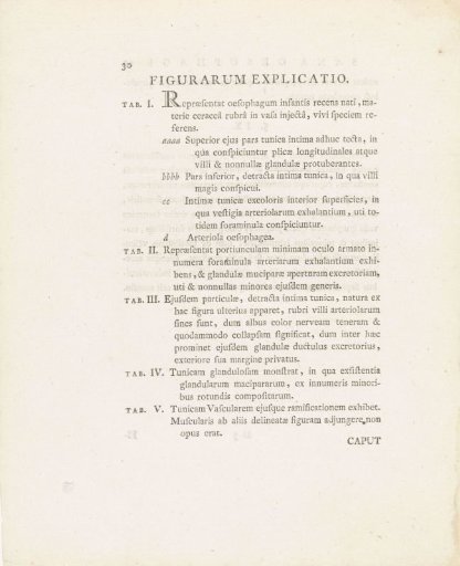 Text page from: Janus Bleuland, Observationes Anatomico-Medicae de Sana et Morbosa Oesophagi Structura, 1785