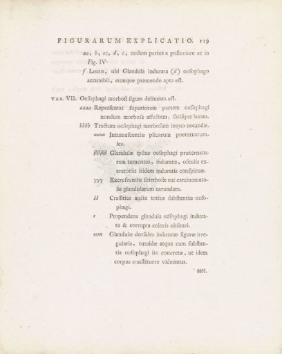 Text page from: Janus Bleuland, Observationes Anatomico-Medicae de Sana et Morbosa Oesophagi Structura, 1785