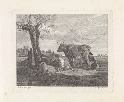 Woman Milking