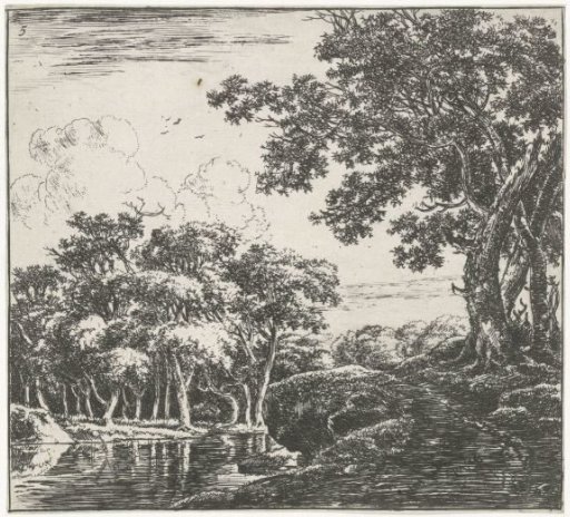 Trees by a River