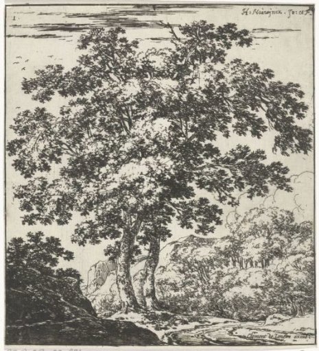 Two Large Trees in a Landscape