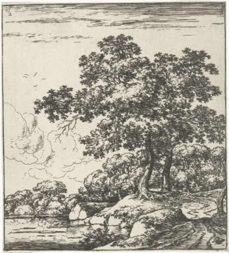 Trees on the River
