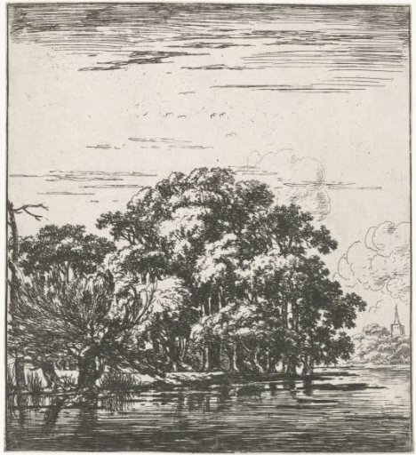 River with Barely Forested Bank