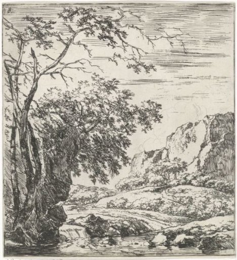 Trees at the foot of a rock