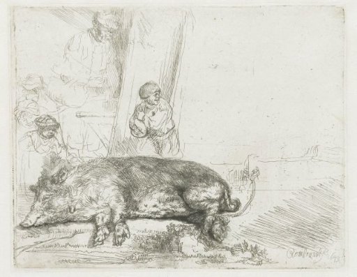 The sow