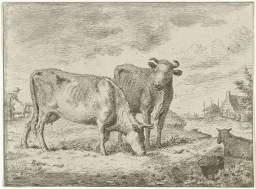 Two standing cows