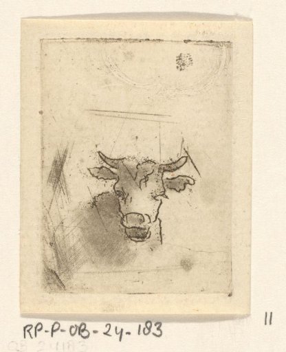 Cow's head