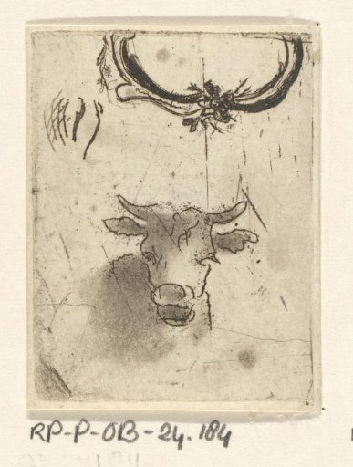 Cow's head