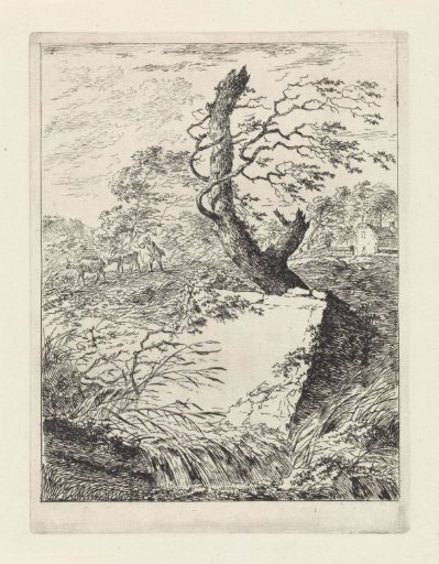 Stone by a tree